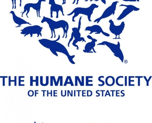 Giving Back - The Humane Society